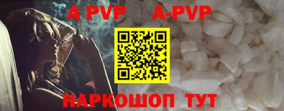 spice Кингисепп