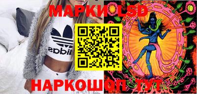 spice Кингисепп