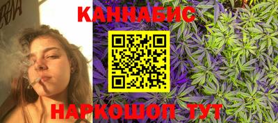 spice Кингисепп
