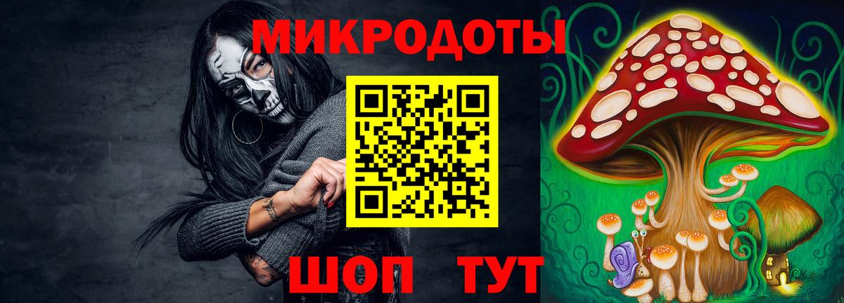 Красногорск  Псилоцибиновые грибы MAGIC MUSHROOMS  Вход с VPN  Псилоцибиновые грибы GOLDEN TEACHER 