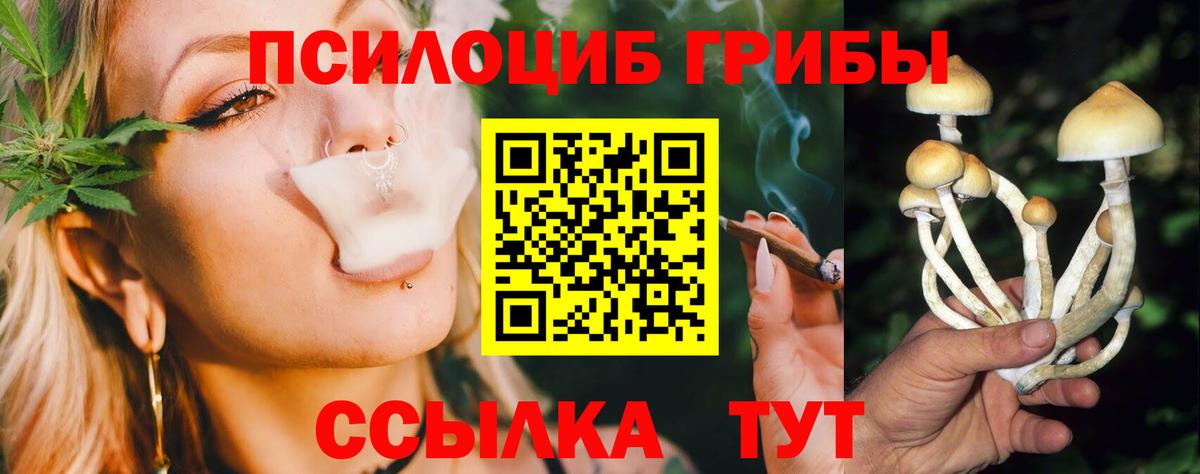 Галлюциногенные грибы GOLDEN TEACHER Красногорск
