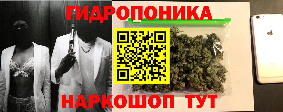 Конопля SATIVA & INDICA  Марихуана план  Красногорск  Канабис White Widow  Вход с VPN 